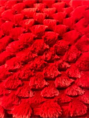 Rachel Zoe Red Plush Faux Fur Throw Blanket